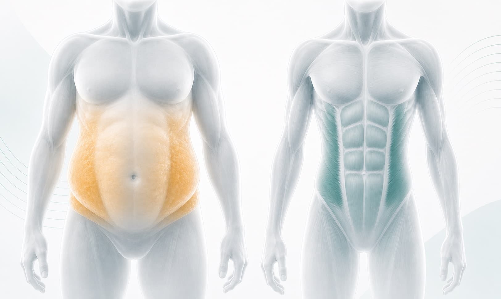 Weight Loss medical graphic